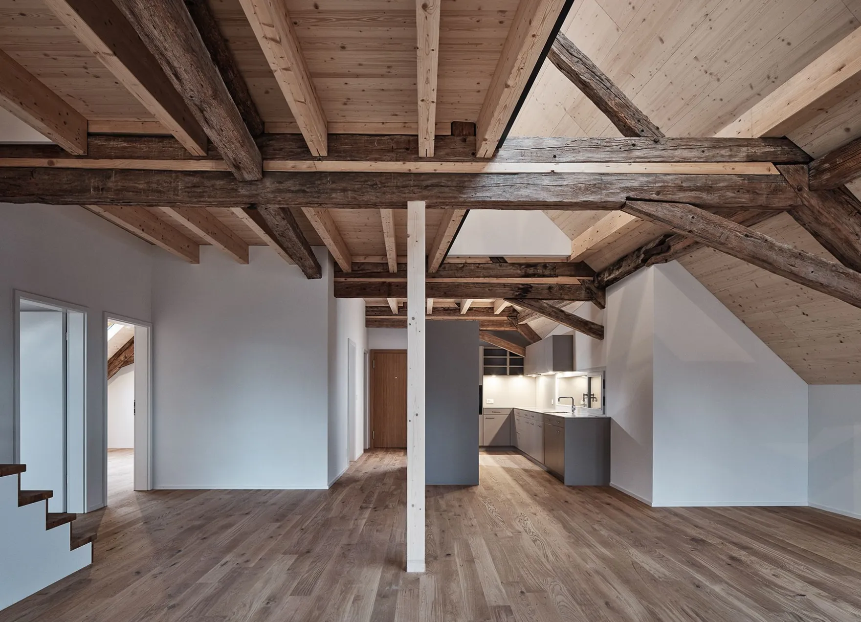 REBGUT INS 24 002